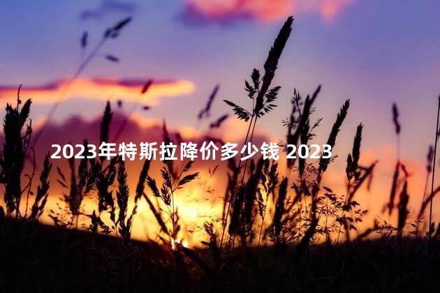 2023年特斯拉降价多少钱 2023年特斯拉还有补贴吗